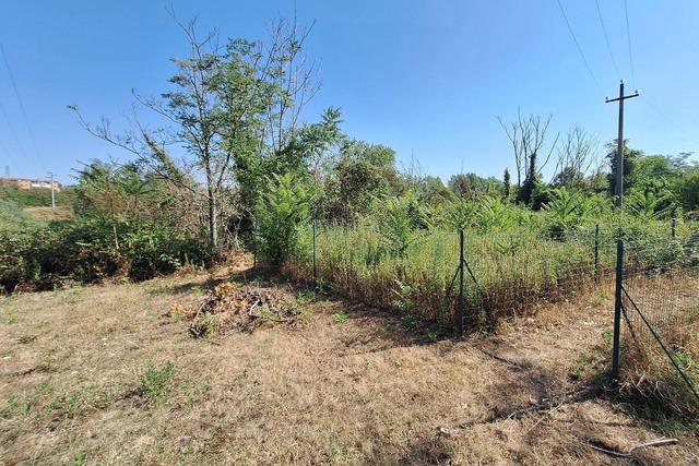 Agricoli in vendita