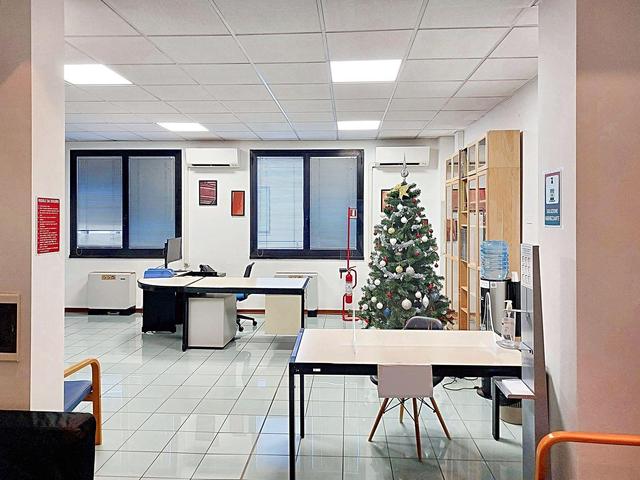 Grandi dimensioni in vendita
