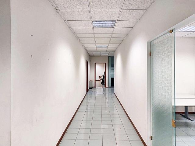 Grandi dimensioni in vendita