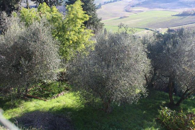 Agricoli in vendita