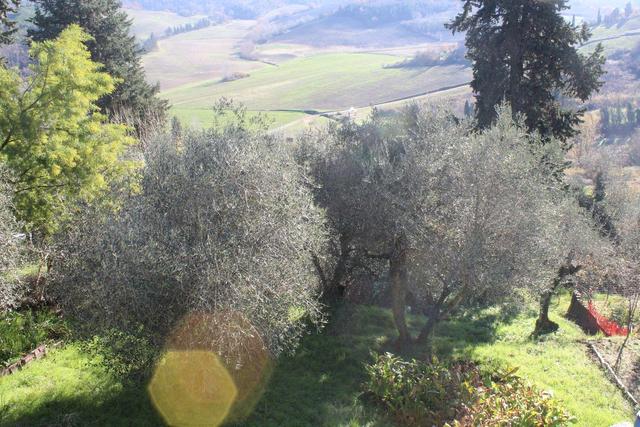 Agricoli in vendita
