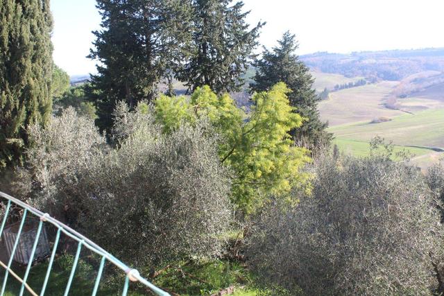 photogallery 3