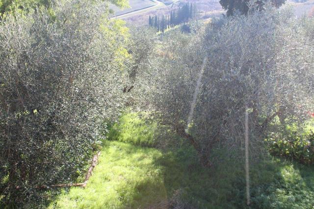 Agricoli in vendita