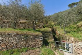 Agricoli in vendita