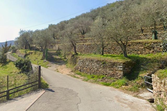 #2536210 Terreno collinare a uliveto con struttura rurale in vendita - foto 2