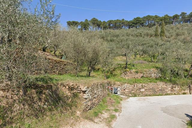 #2536210 Terreno collinare a uliveto con struttura rurale in vendita - foto 3