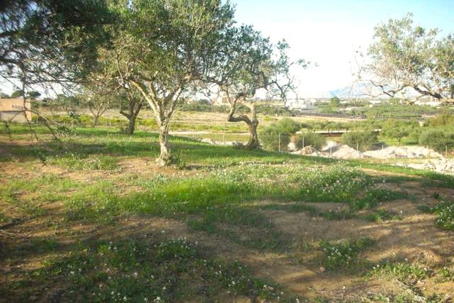 #2638307 Appezzamento agricolo incolto di 4945 mq in vendita - foto 2