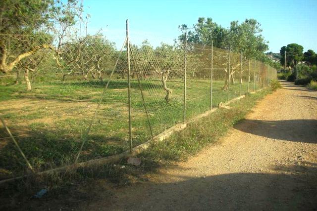 #2638307 Appezzamento agricolo incolto di 4945 mq in vendita - foto 3