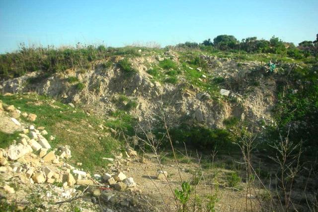 #2638307 Appezzamento agricolo incolto di 4945 mq in vendita - foto 4