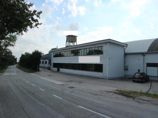 Stabilimenti produttivi in vendita