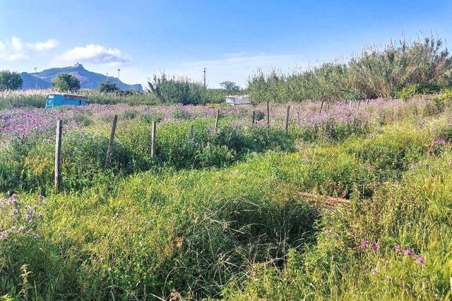 #2519021 Appezzamento di terreno e fabbricati rurali in vendita - foto 7