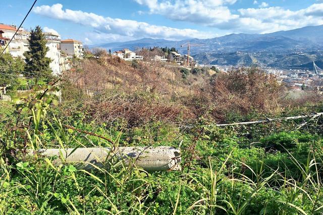 #23360 Terreno edificabile di 17.750 mq in vendita - foto 3