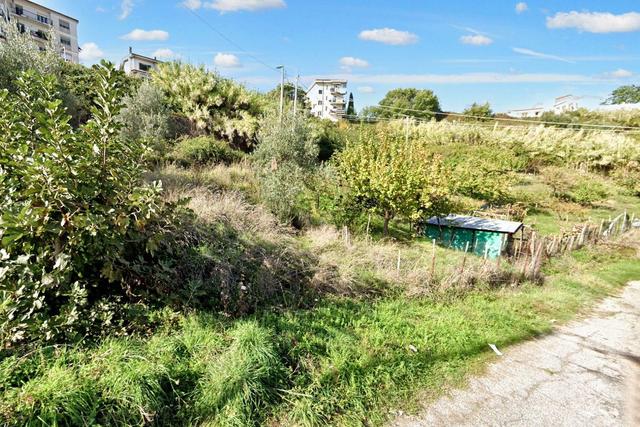 #23360 Terreno edificabile di 17.750 mq in vendita - foto 9