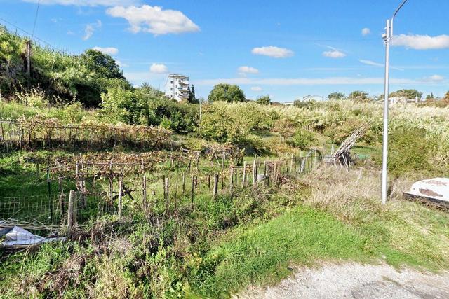 #23360 Terreno edificabile di 17.750 mq in vendita - foto 10