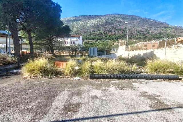 #2536145 Terreno ad uso deposito con ruderi in vendita - foto 8