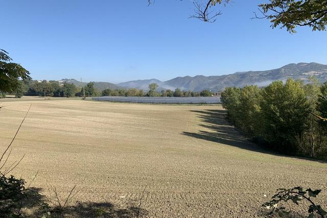 Agricoli in vendita