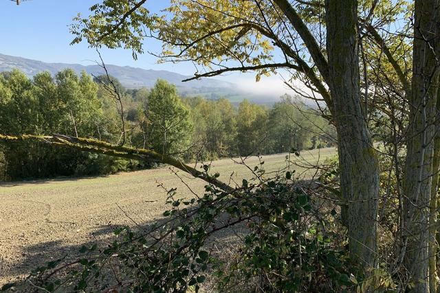 Agricoli in vendita