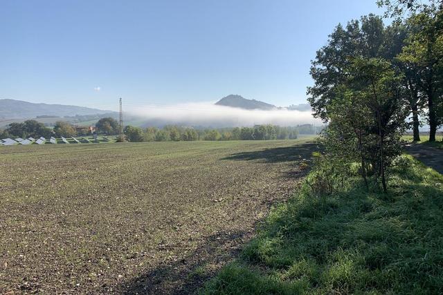 Agricoli in vendita