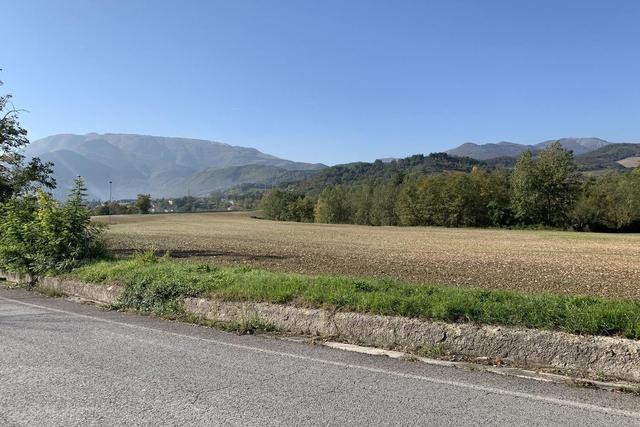 Agricoli in vendita