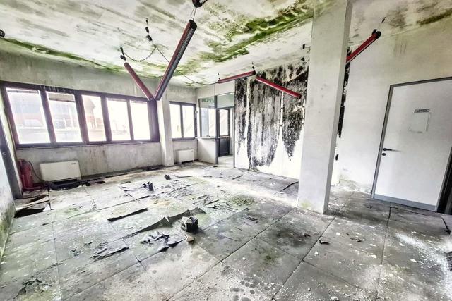 #2515004 Strutture artigianali in comparto industriale in vendita - foto 17