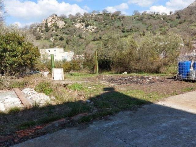 #15972 Capannone con carroponte e area esterna in vendita - foto 9
