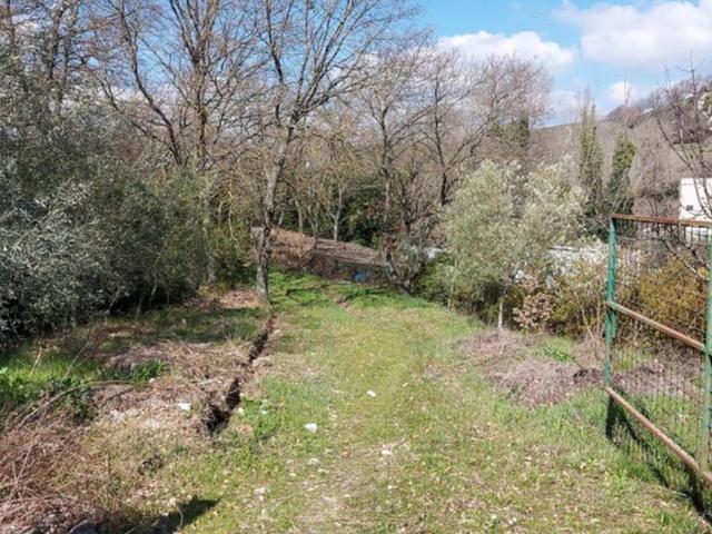 #15972 Capannone con carroponte e area esterna in vendita - foto 2