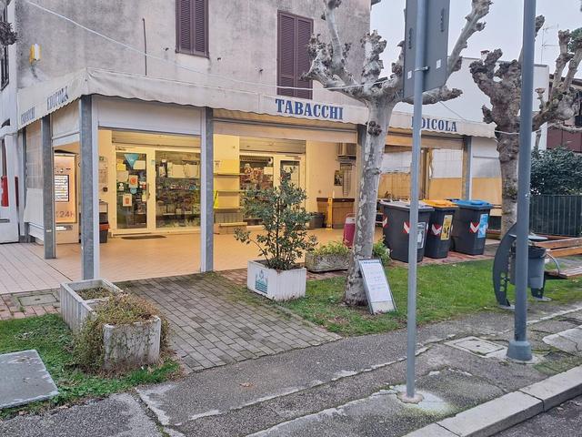 photogallery 7