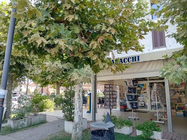 Negozi in vendita