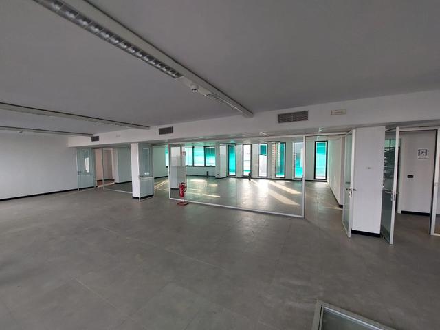 Grandi dimensioni in vendita