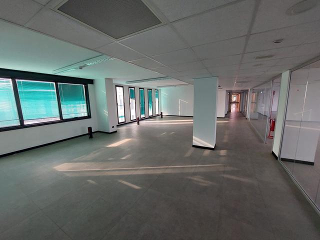 Grandi dimensioni in vendita