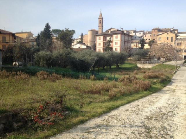 #18355 Terreno edificabile di 5099 mq in vendita - foto 4