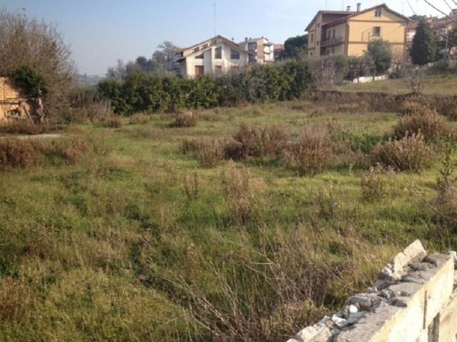 #18355 Terreno edificabile di 5099 mq in vendita - foto 5