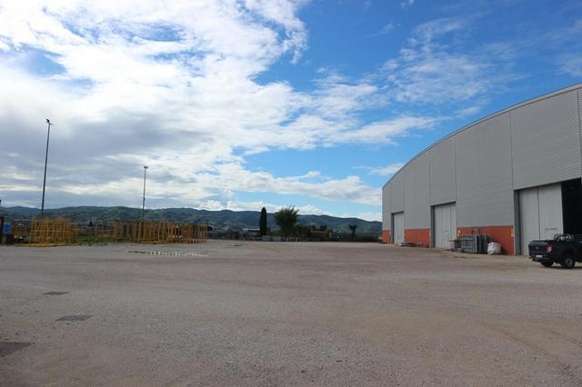 #18491 Cessione d'azienda dedita a produzione edifici e strutture in legno in vendita - foto 28