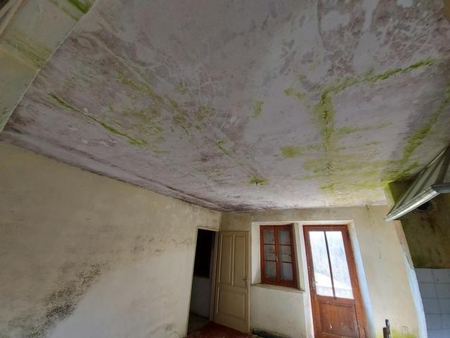 Indipendenti in vendita