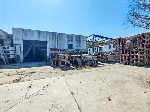 #2536135 Complesso industriale per prodotti lattiero-caseari in vendita - foto 4