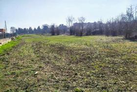 Agricoli in vendita