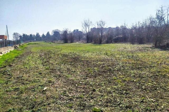 Agricoli in vendita