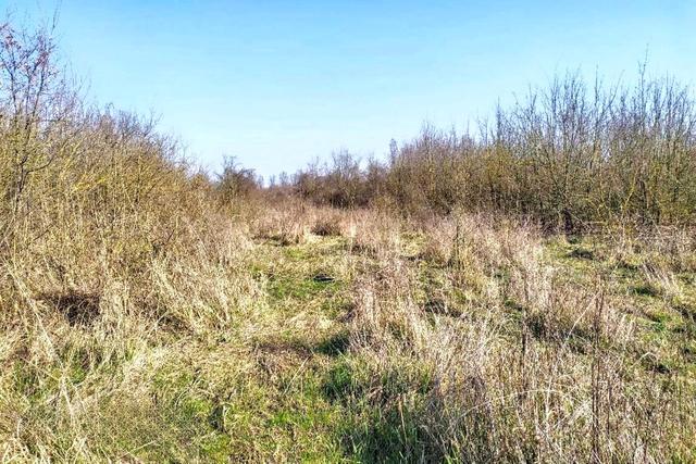 #2533002 Terreno di 31520 mq vicino impianti sportivi in vendita - foto 3