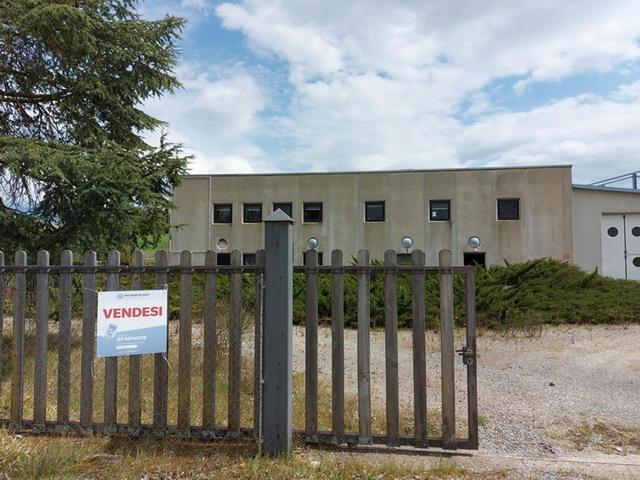 #12918 Capannone artigianale con capacità edificatoria residua in vendita - foto 4