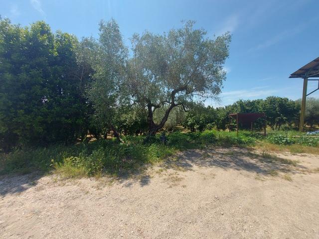 Agricoli in vendita