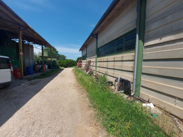 Agricoli in vendita