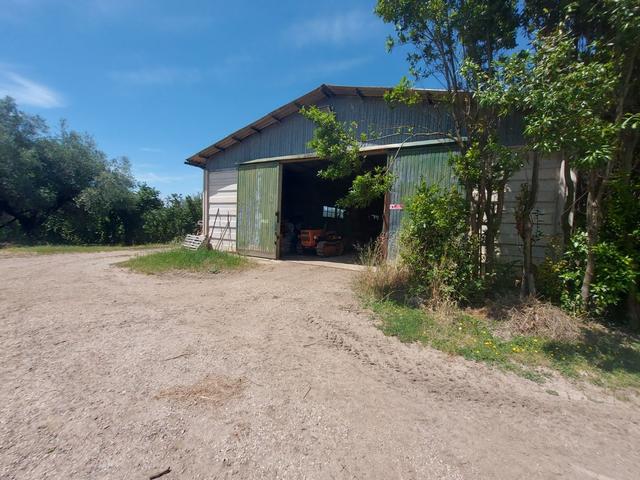 Agricoli in vendita
