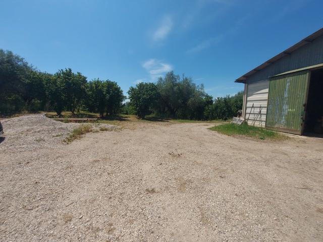 Agricoli in vendita