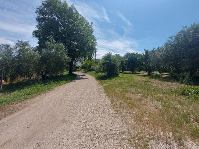 Agricoli in vendita