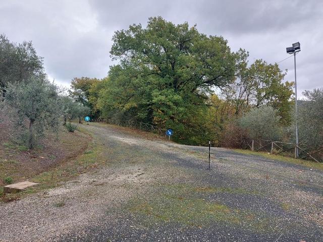 Alberghi in vendita