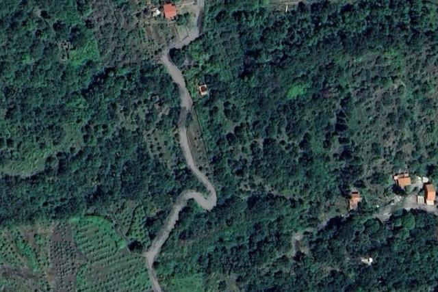 Agricoli in vendita