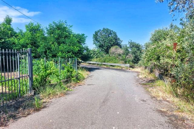 #2536951 Terreno agricolo in vendita - foto 10