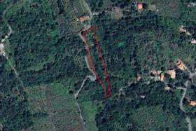 Agricoli in vendita