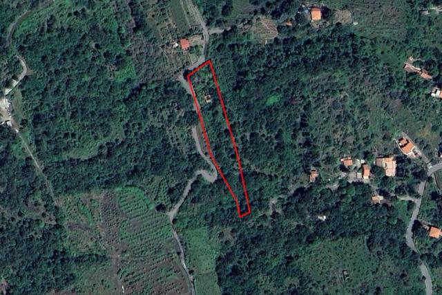 Agricoli in vendita