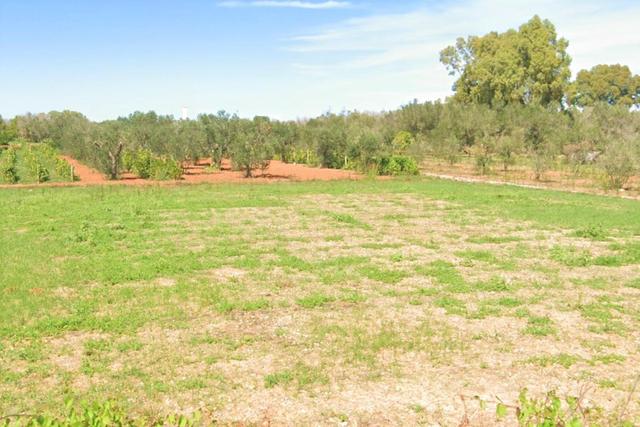 Agricoli in vendita